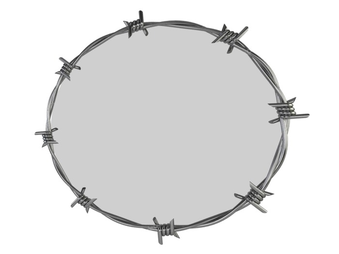 Barbed Wire Mirror Texture