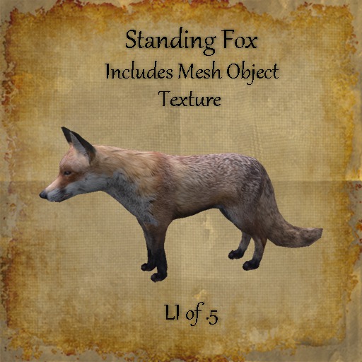 Bad Katz Standing Fox