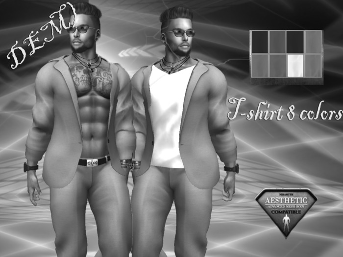Demo 4- jacket with T-shirt + trousers (T-shirt 8 colors )for AESTHETIC