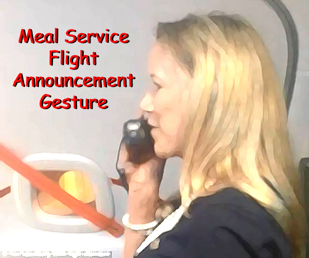 Gesture Meal Service