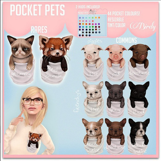 .Birdy. Pocket pet {Kitty} Grumpy [BOX] RARE