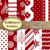 *Wallflowers* Red & White Christmas