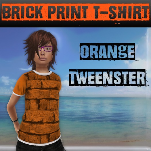Orange Brick T-Shirt