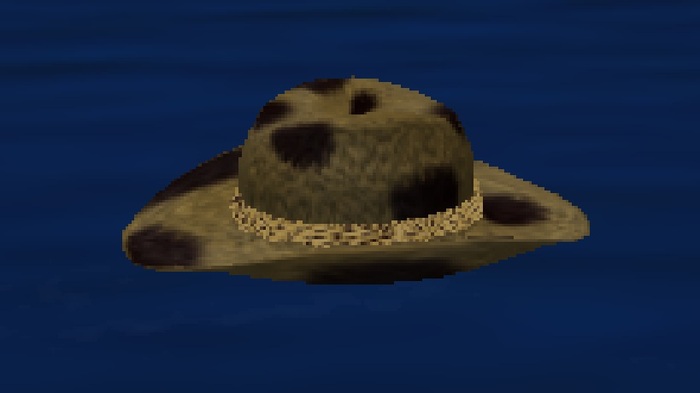 Cowboy Hat - cheta