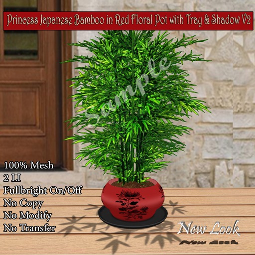 Princess Japanese Bamboo - Red Floral Pot with Tray & Shadow