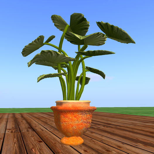 tropical foliage potted