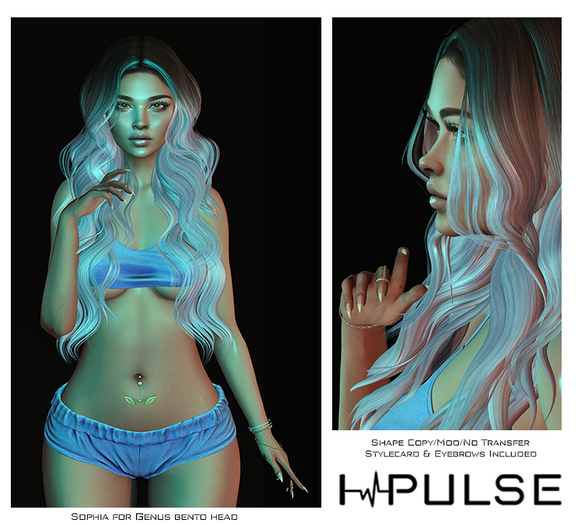 InPulse- Sophia Shape for Genus Bento head (add)