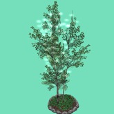 Lighted Tree w/Flowers in Round Stone Planter,4Li, Bagged