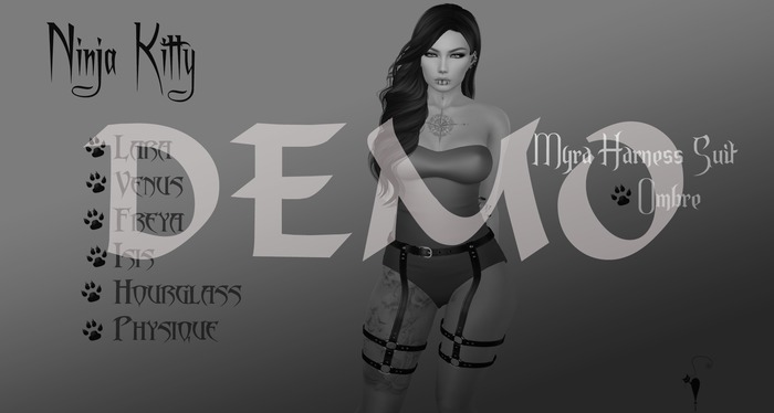 [NK]Myra Harness Suit DEMO