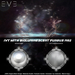 E.v.e ivy with bioluminescent fungus m02 w w