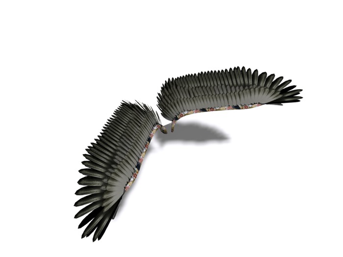 5,[[RH]]-Oboro- Wing -TURU Black-A