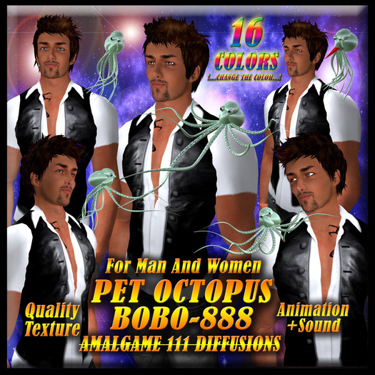 PET OCTOPUS BOBO-888 