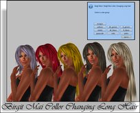 Birgit Mai Collor Changing Long Hair V669 (BOXED)