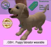 .:GBH:. Puppy labrador wearable