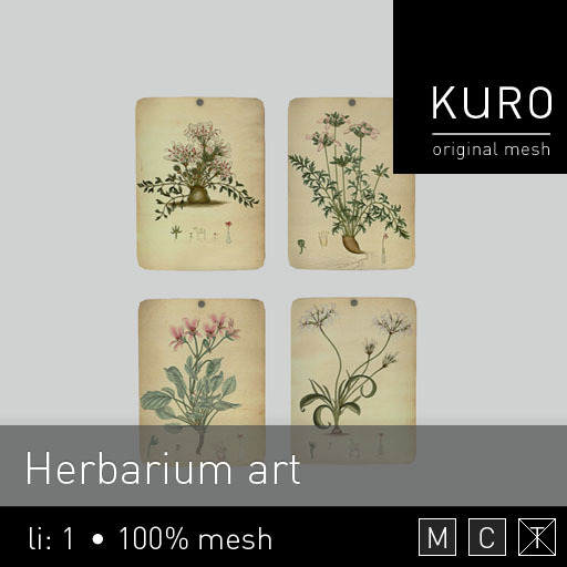 Kuro - Herbarium art