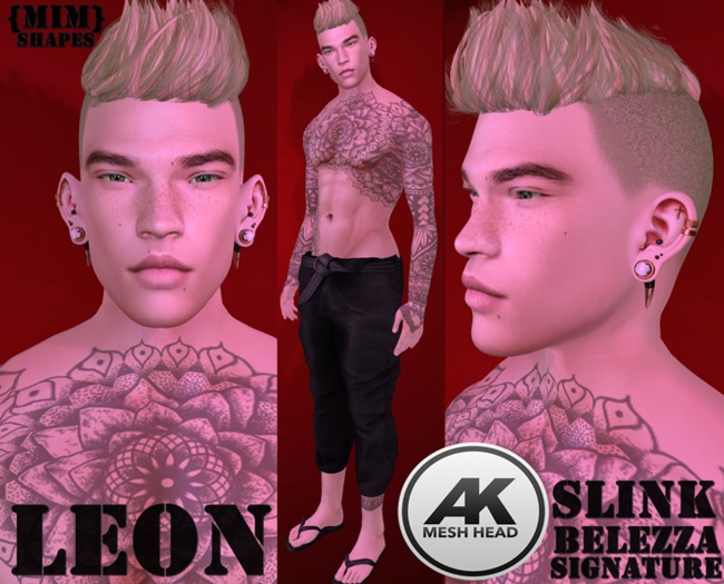 {MiM} Shape Akeruka   [AK] LEON [SLINK/SIGNATURE/BELLEZA]