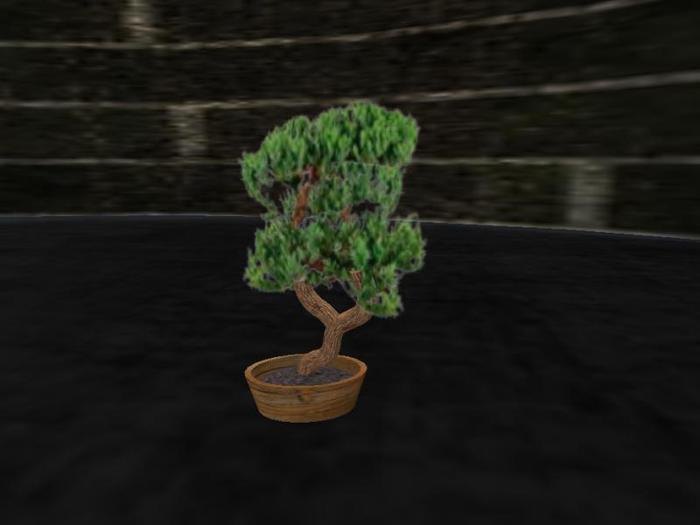 Bonsai