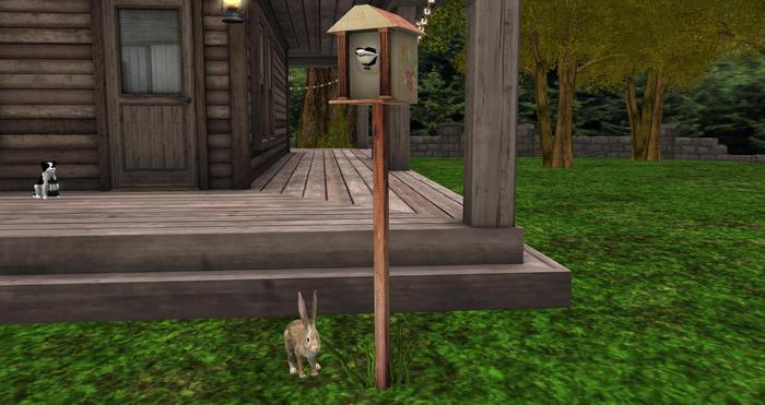 Country Corner ~ Birdhouse