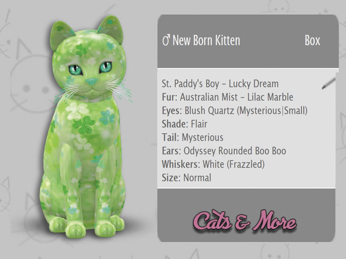 KittyCatS Box - Gene