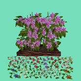 Clematis Bush in Wood Planter, 12 Textures Menu, 2 Li, Bagged