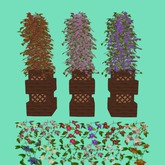 Clematis Bush, Tall Sq Trellis Planter, 12 Texture, 4Li, Bagged