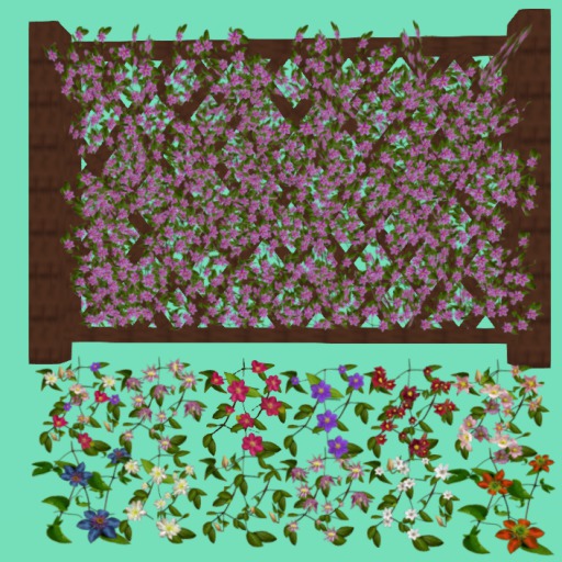 Clematis Trelllis, 12 Textures Menu, 3Li, Bagged