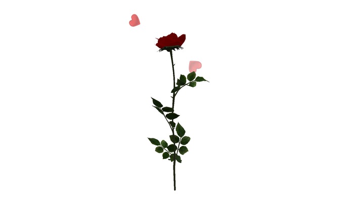 {Papillon} A Giant Loving Rose