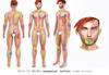 Warpaint male mp
