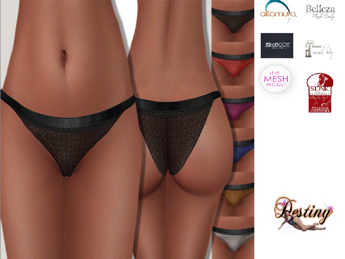 Intimate Panties Hud Included
