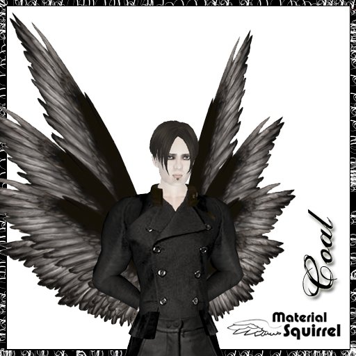 Coal Wings - Flexi Scripted Wings - Gothic Dark Angel or Bird  Wings