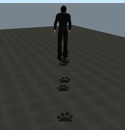 Black Paw Prints