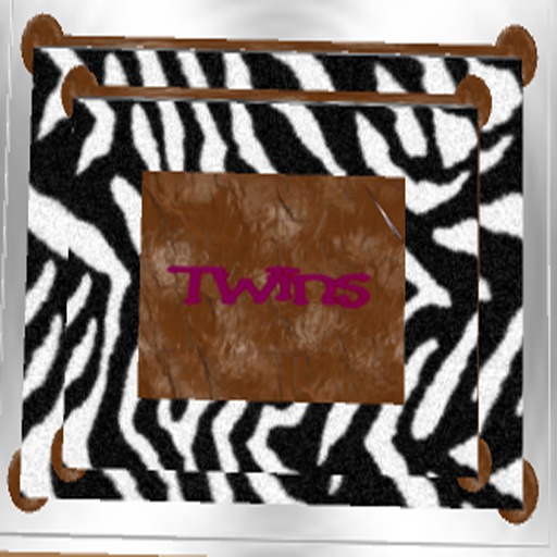 Baby Shower- Zebra Gift Table & Cake