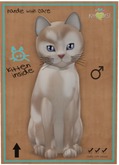 KittyCatS Box - Scottish Shorthair - Brown & White