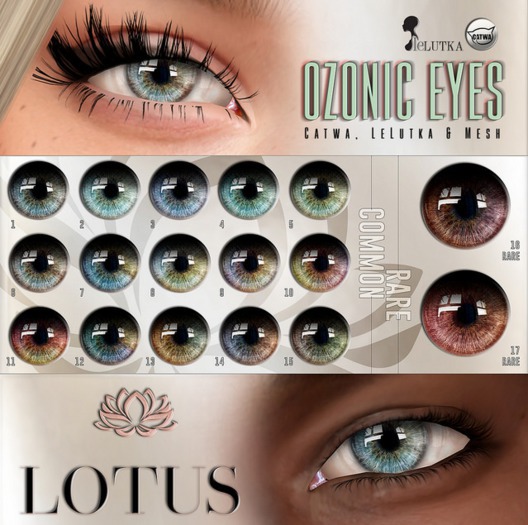 LOTUS. Ozonic Eyes 16 RARE