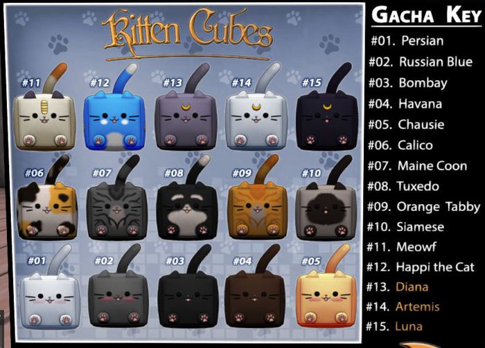 ::AMBIX:: Voucher [Kitten Cube - Tuxedo #08] Wear Me