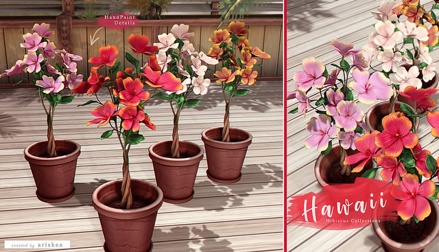 Ariskea[Hawaii] Hibiscus Set