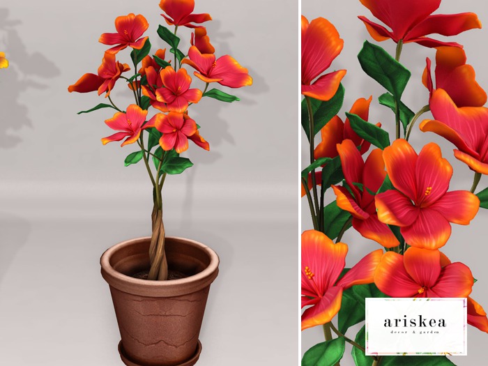 Ariskea[Hawaii] Hibiscus Red