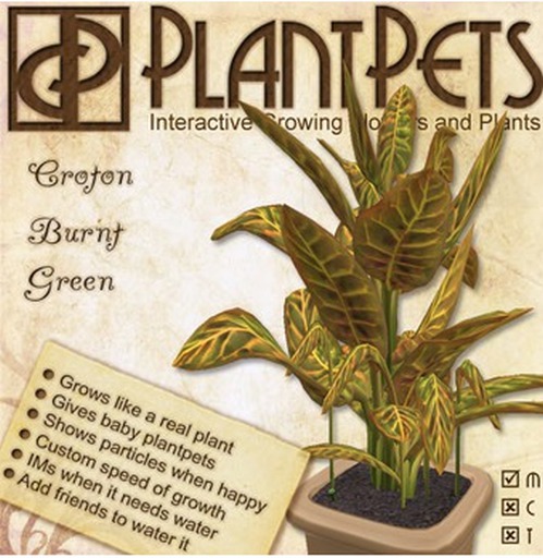 PlantPet Seed [Croton *Burnt Green*]