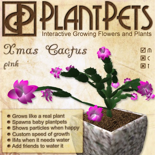 PlantPet Seed [Xmas Cactus *Pink*]