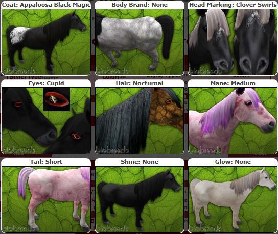 BB Pony Box M