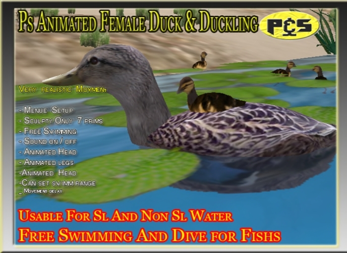 Ps Female Duck  Free Swiming Bird Animal