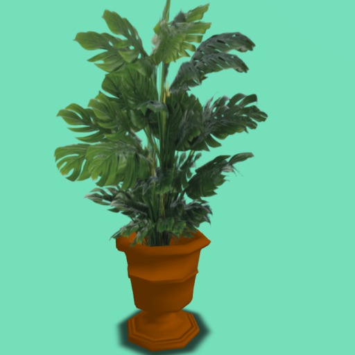 Potted Elephant Ears Plant, 3 Li , Bagged