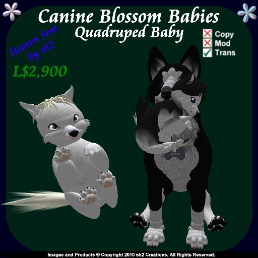sh2 Canine Quad Blossom Baby v2.0