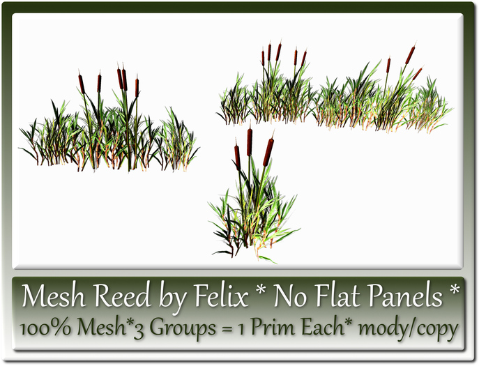 1 Prim Mesh Reed by Felix(no flat panels)3 Groups copy-mod