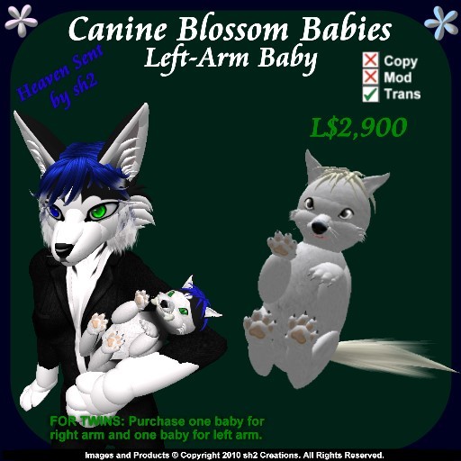 sh2 Canine Blossom Baby Left v2.0