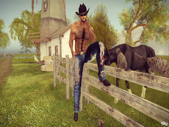 ~ SMD ~ Country With An Edge