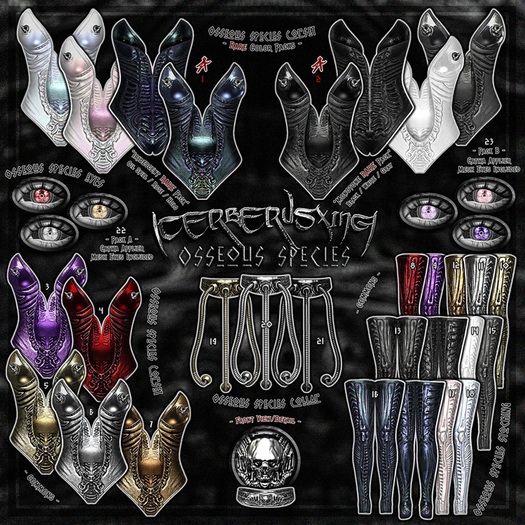 17. [CX] Osseous Species Stocking - Rose - M