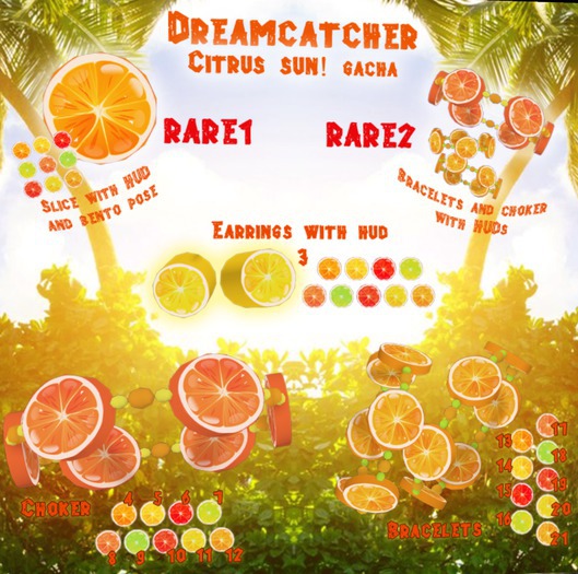 + Dreamcatcher + Citrus fruit choker 10