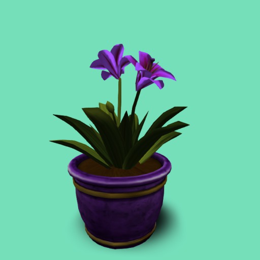 Potted Purple Lilly, 4 Li , Bagged