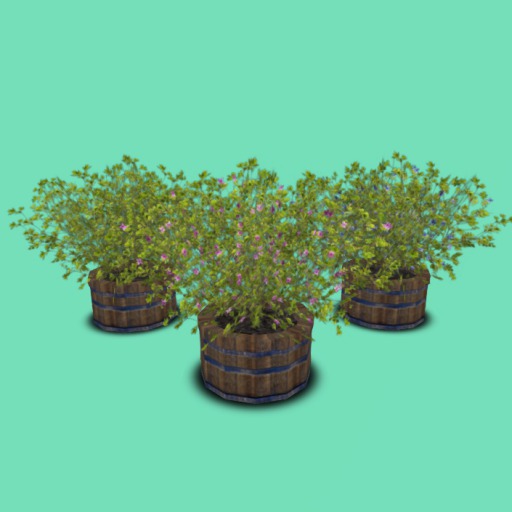 Barrel Planters with 3 Color Bush's , 1 ea Li , Bagged